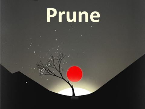 Prune