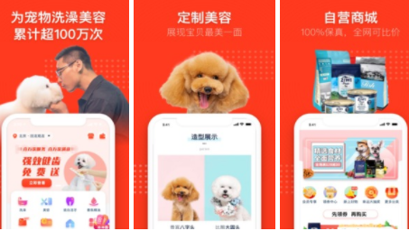 宠物家app怎么样？宠物家app能办狗证吗？