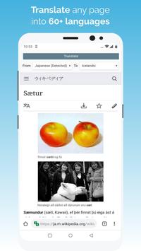 Kiwi Browser中文版