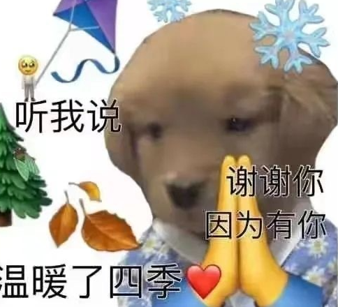 听我说谢谢你表情包图片汇总