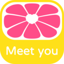 美柚安卓手机软件app