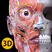 解剖学三维图谱安卓手机软件app