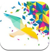 一个奇鸽免费版安卓手机软件app