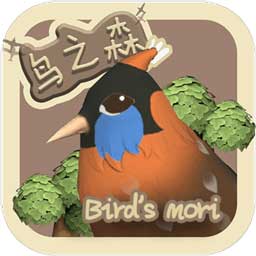 鸟之森安卓手游app