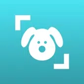 狗狗鉴定器安卓手机软件app