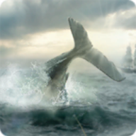 白鲸记狩猎app