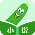丝瓜小说安卓手机软件app
