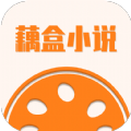 藕盒小说安卓手机软件app