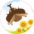 我和甲虫的暑假app