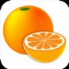 柑橘阅读安卓手机软件app