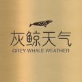 灰鲸天气安卓手机软件app