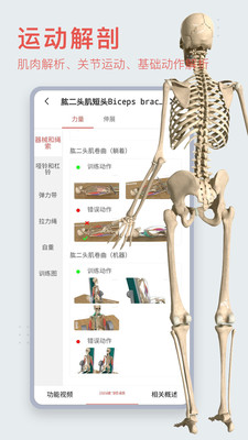 3Dbody解剖app截图