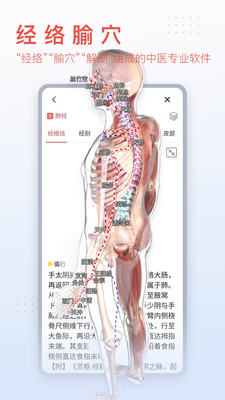 3Dbody解剖app截图