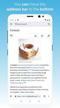 Kiwi Browser中文版app截图