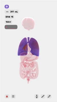 生命人体模拟器life汉化版app截图