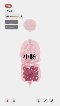 生命人体模拟器life汉化版app截图