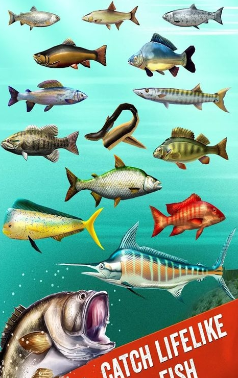 钓鱼俱乐部app截图