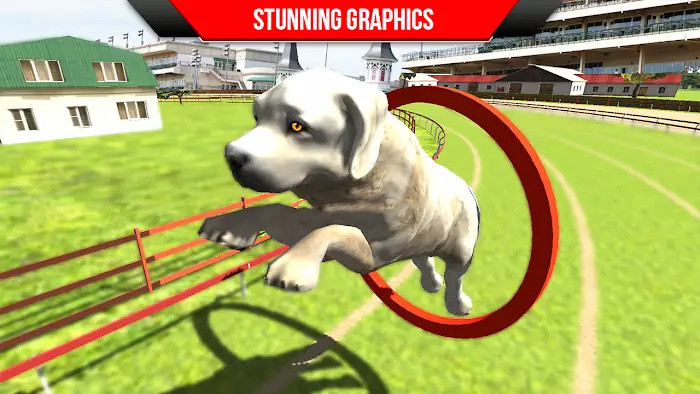 狗狗训练3Dapp截图