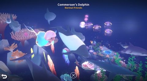 深海庭院app截图