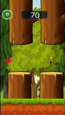 小鸟飞往森林最新版app截图
