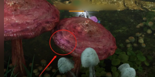 《命运方舟》巨型蘑菇岛摩可可在哪获得