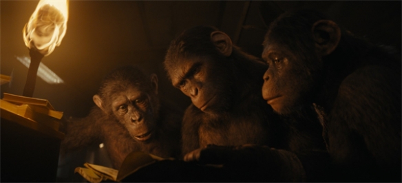 《猩球崛起4》新剧照公布：猩猩翻阅书籍